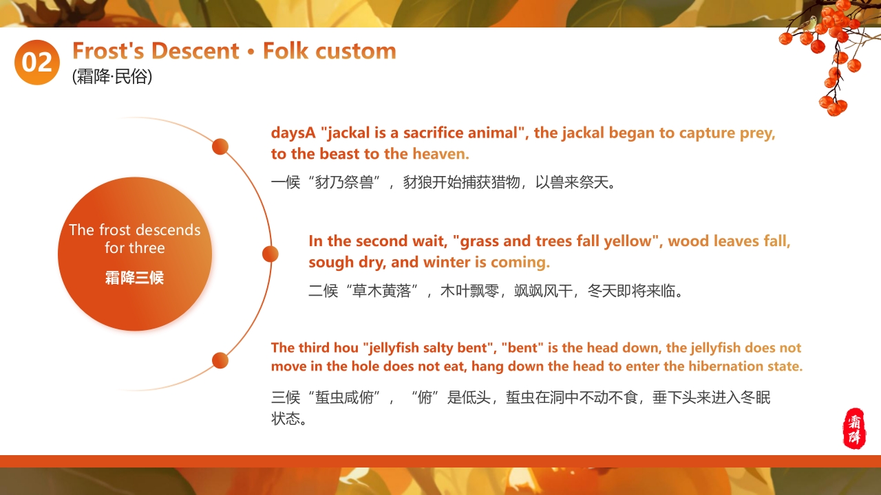 红色插画风“好柿成霜喜从天降”传统节气霜降英文介绍PPT15