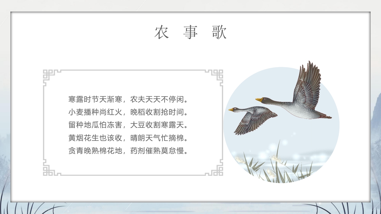 群山仙鹤背景的寒露时节节气介绍PPT课件21
