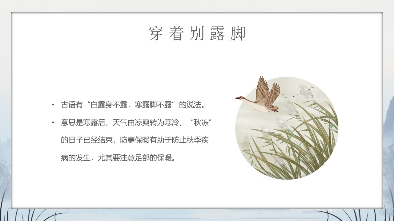 群山仙鹤背景的寒露时节节气介绍PPT课件28