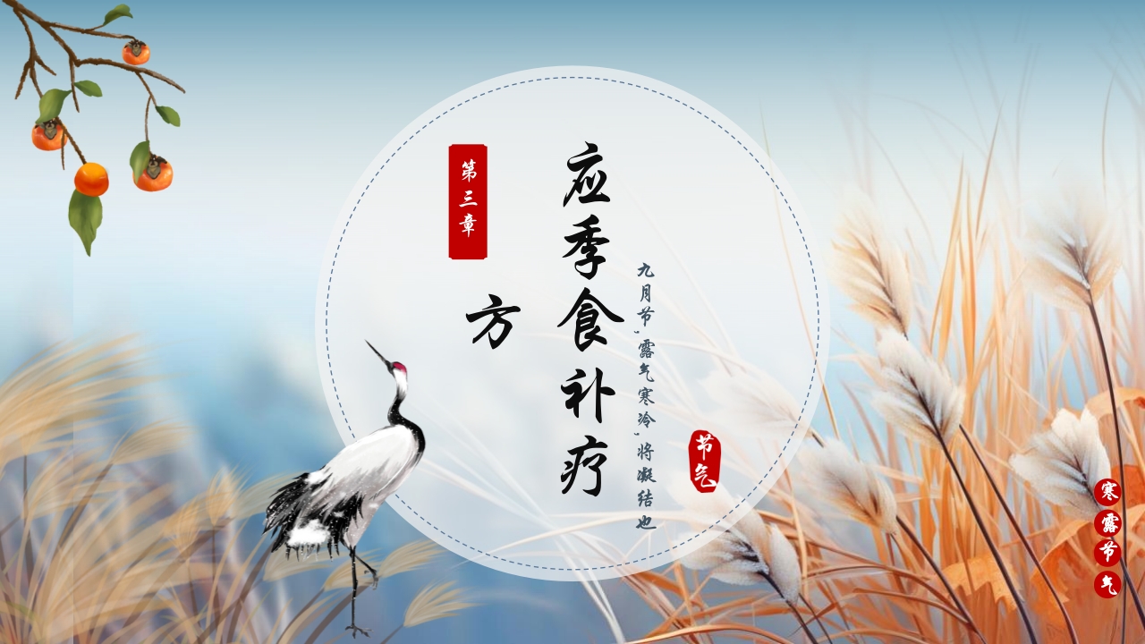 蓝色插画风深秋寒露谈养生PPT14