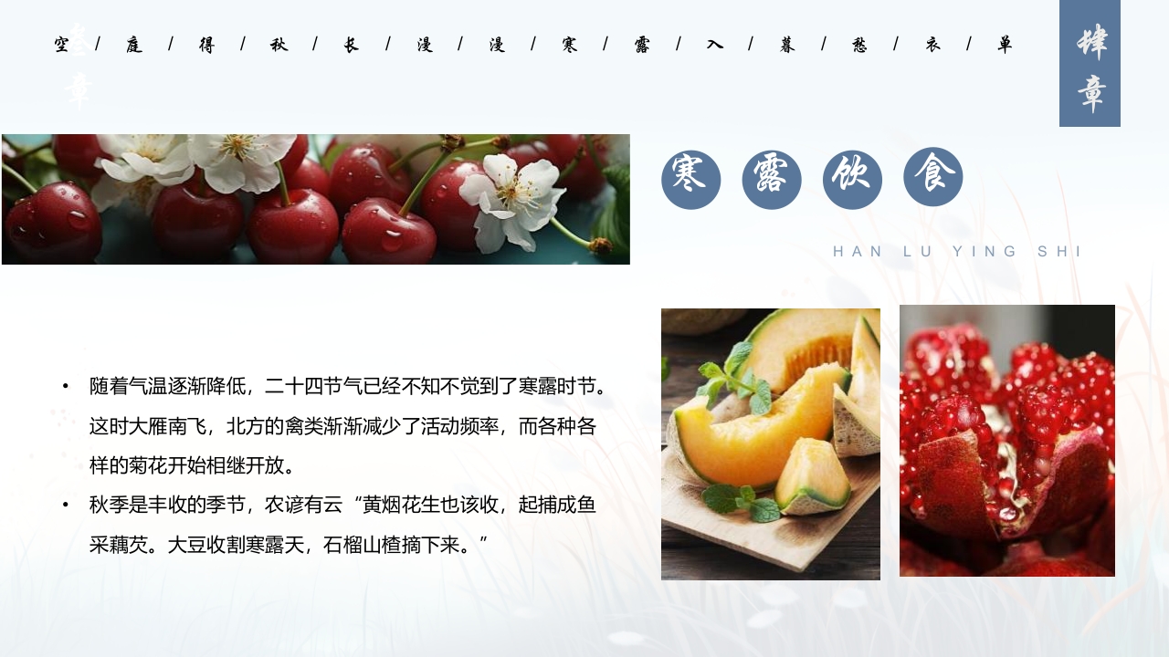 蓝色插画风深秋寒露谈养生PPT19