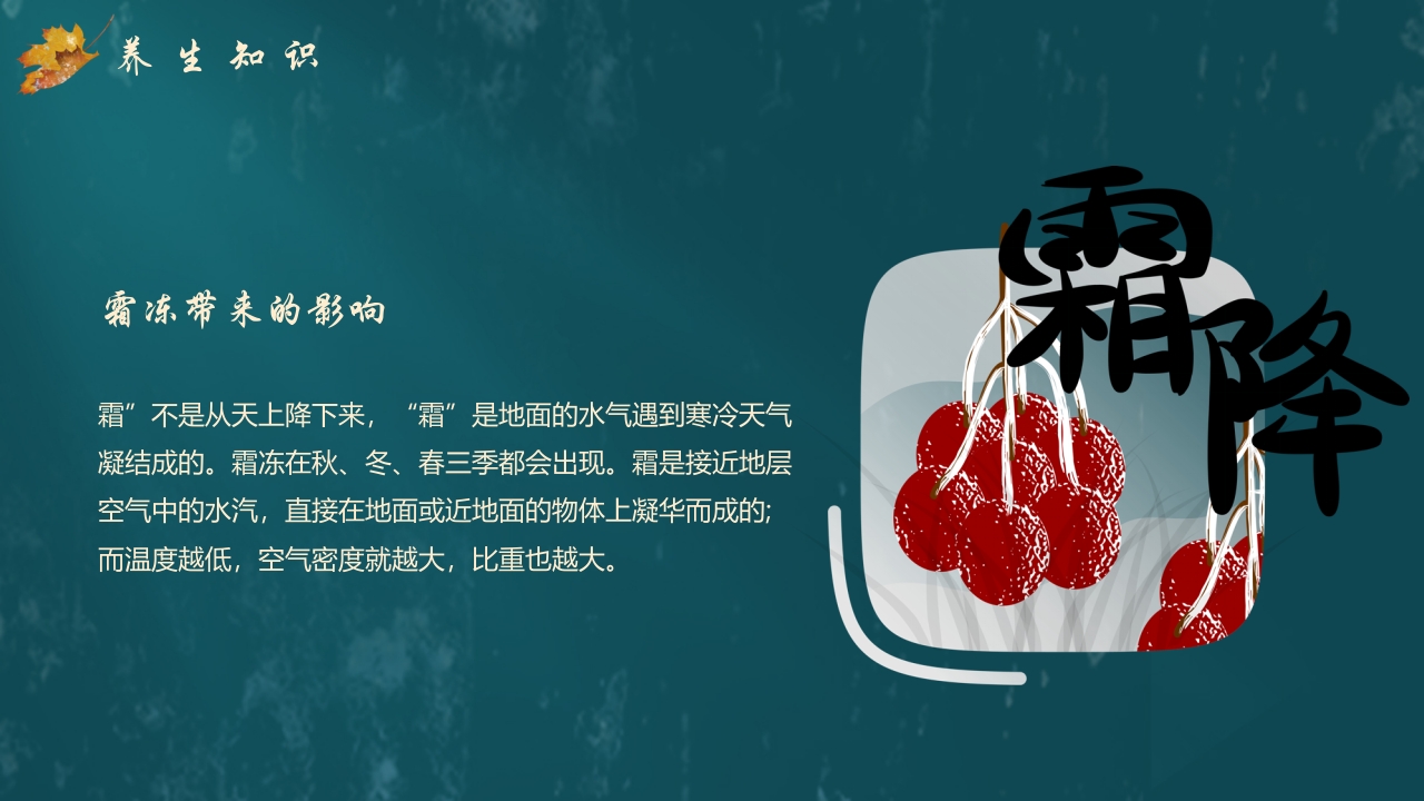 枫叶背景的传统节气霜降介绍PPT课件13