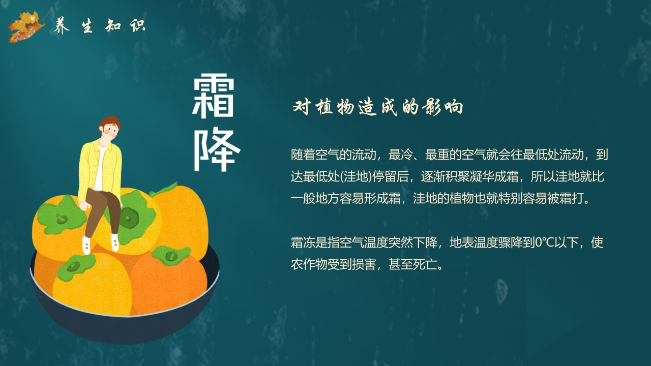 枫叶背景的传统节气霜降介绍PPT课件14