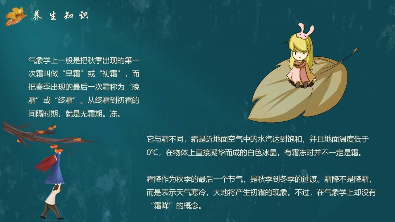 枫叶背景的传统节气霜降介绍PPT课件15