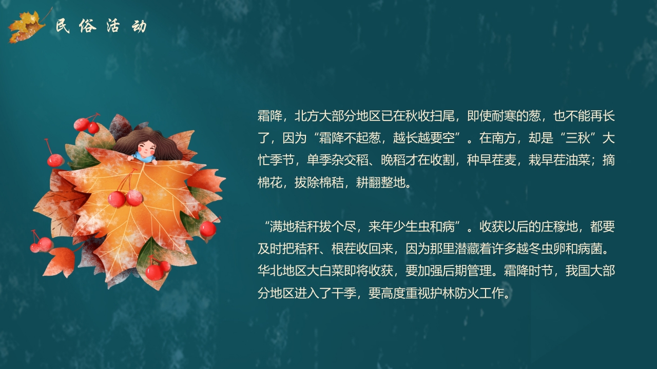 枫叶背景的传统节气霜降介绍PPT课件19