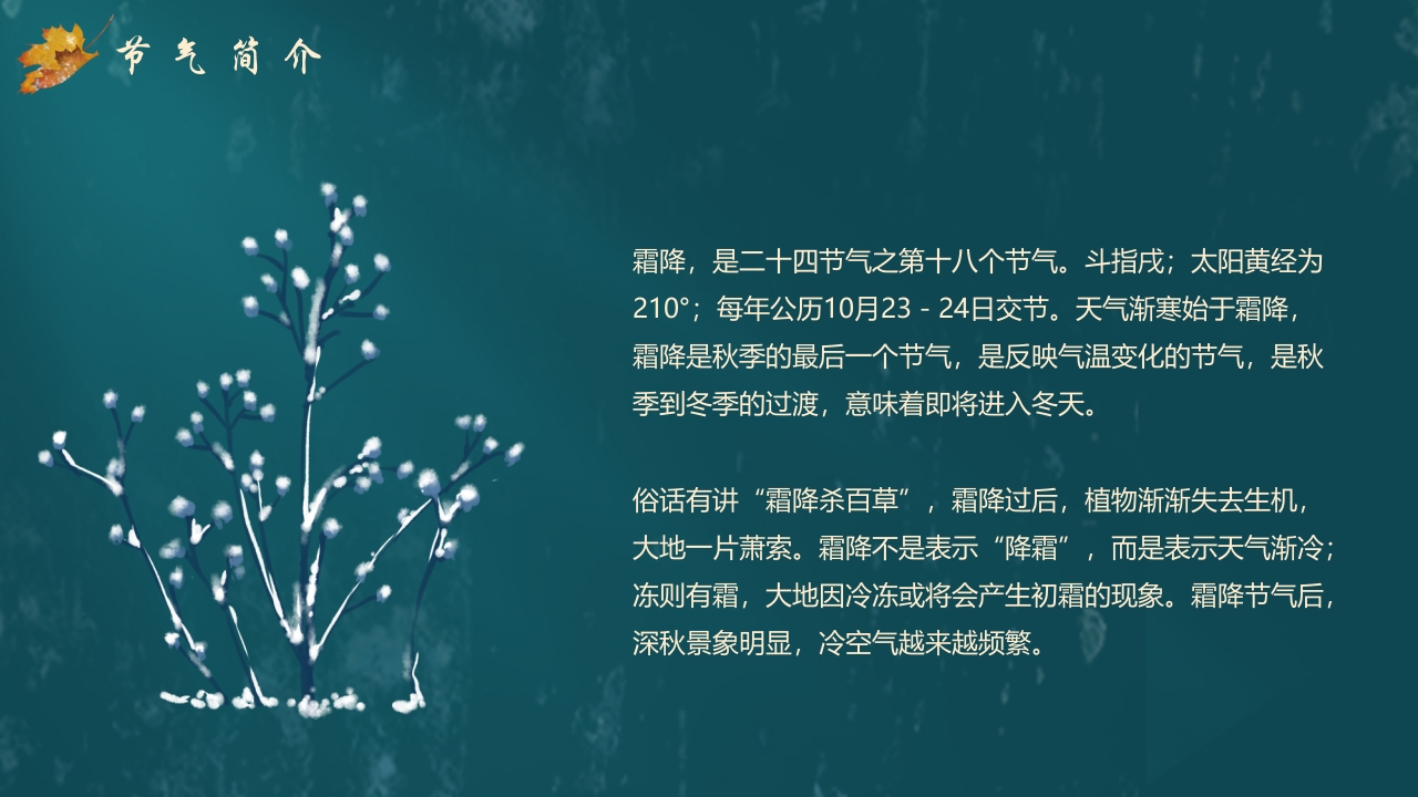 枫叶背景的传统节气霜降介绍PPT课件4