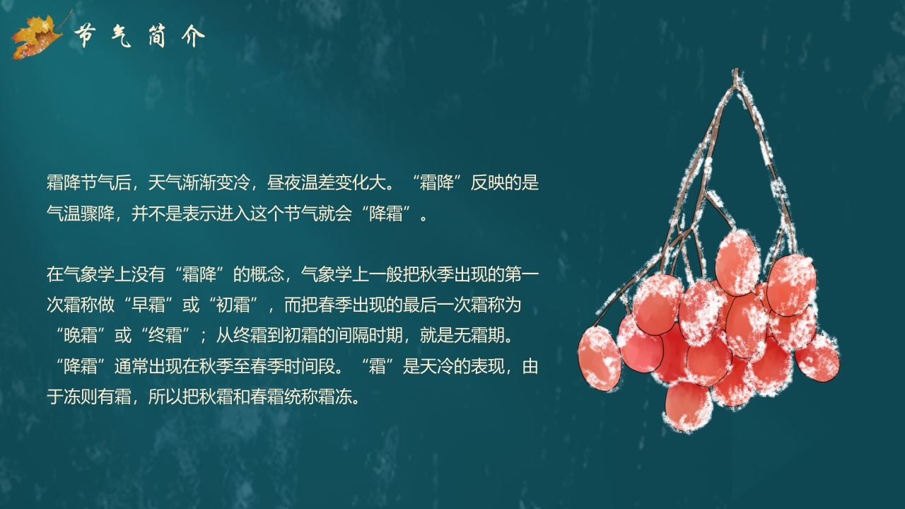 枫叶背景的传统节气霜降介绍PPT课件5
