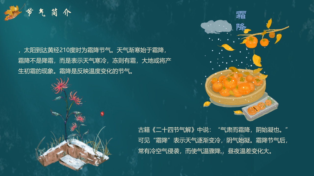 枫叶背景的传统节气霜降介绍PPT课件6