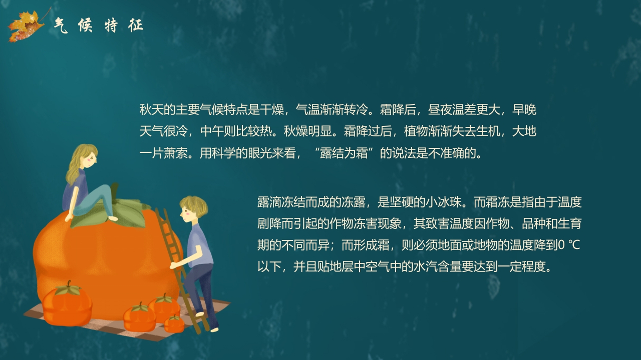枫叶背景的传统节气霜降介绍PPT课件9