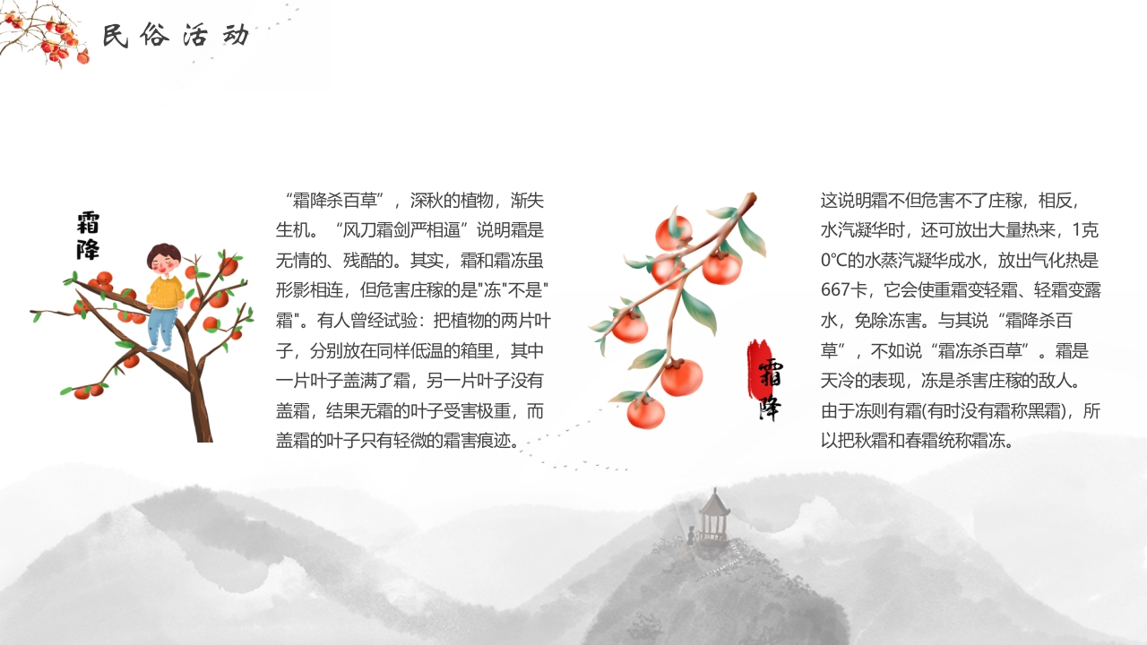 插画风霜降节气介绍PPT课件17
