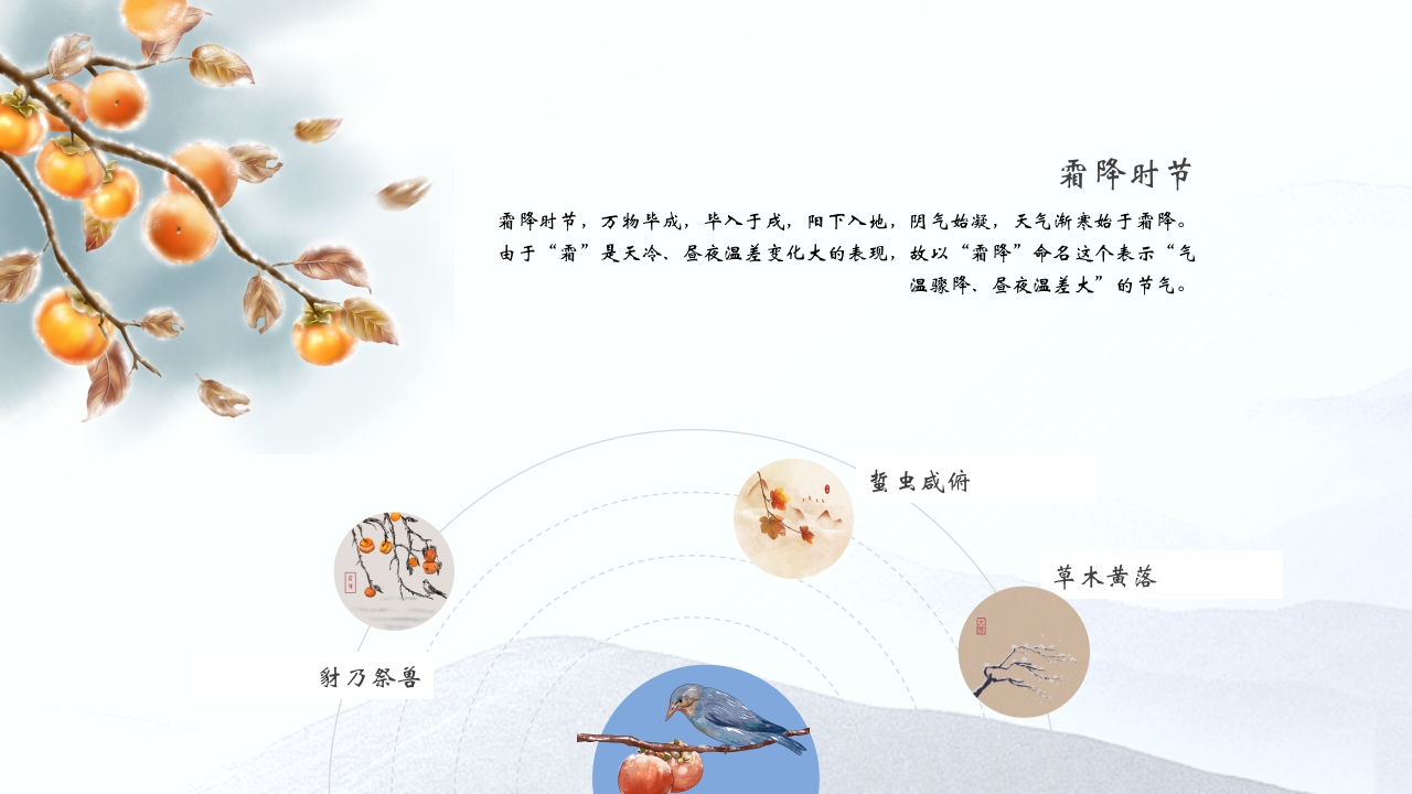 水芦苇背景的霜降传统节气介绍PPT课件13