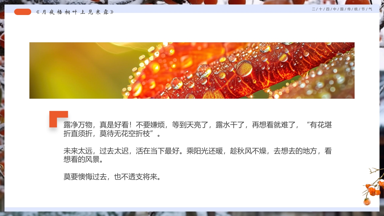 柿子背景的寒露诗词鉴赏PPT课件12