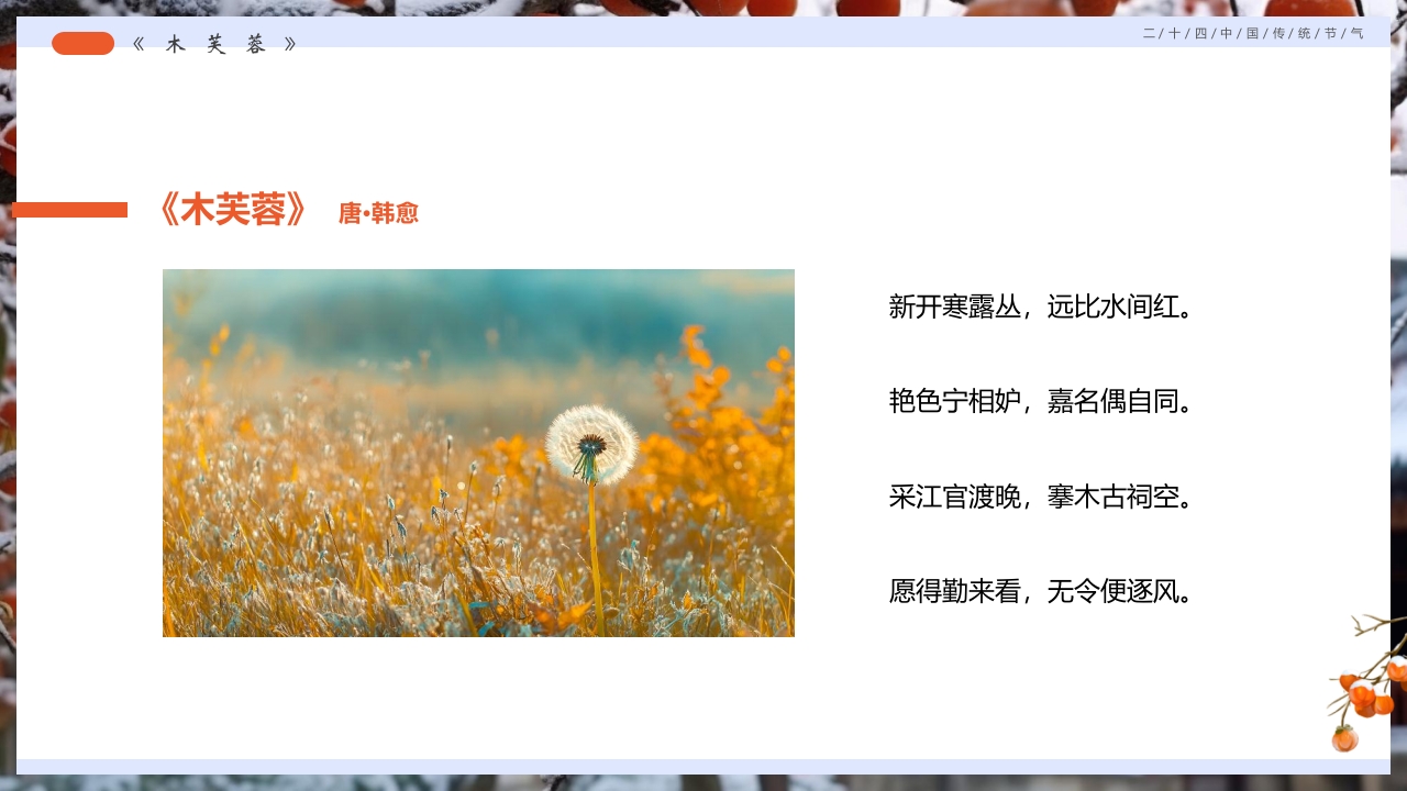 柿子背景的寒露诗词鉴赏PPT课件17