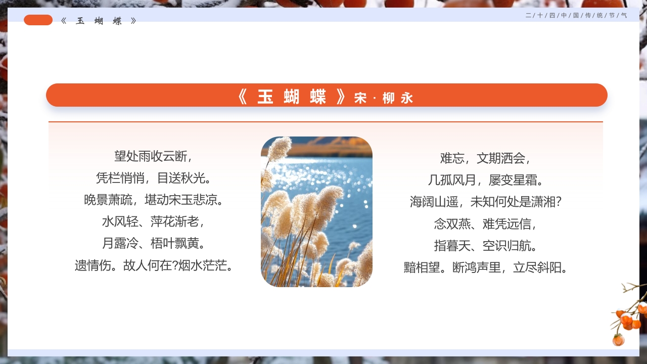 柿子背景的寒露诗词鉴赏PPT课件20