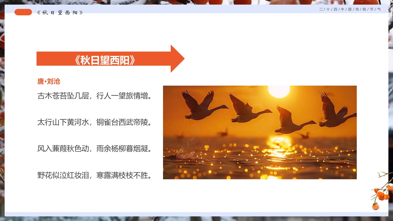柿子背景的寒露诗词鉴赏PPT课件29
