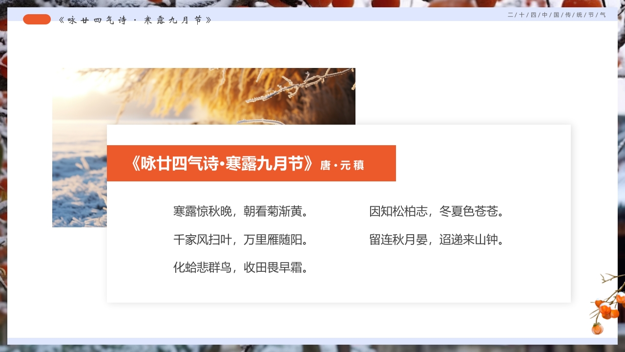 柿子背景的寒露诗词鉴赏PPT课件32