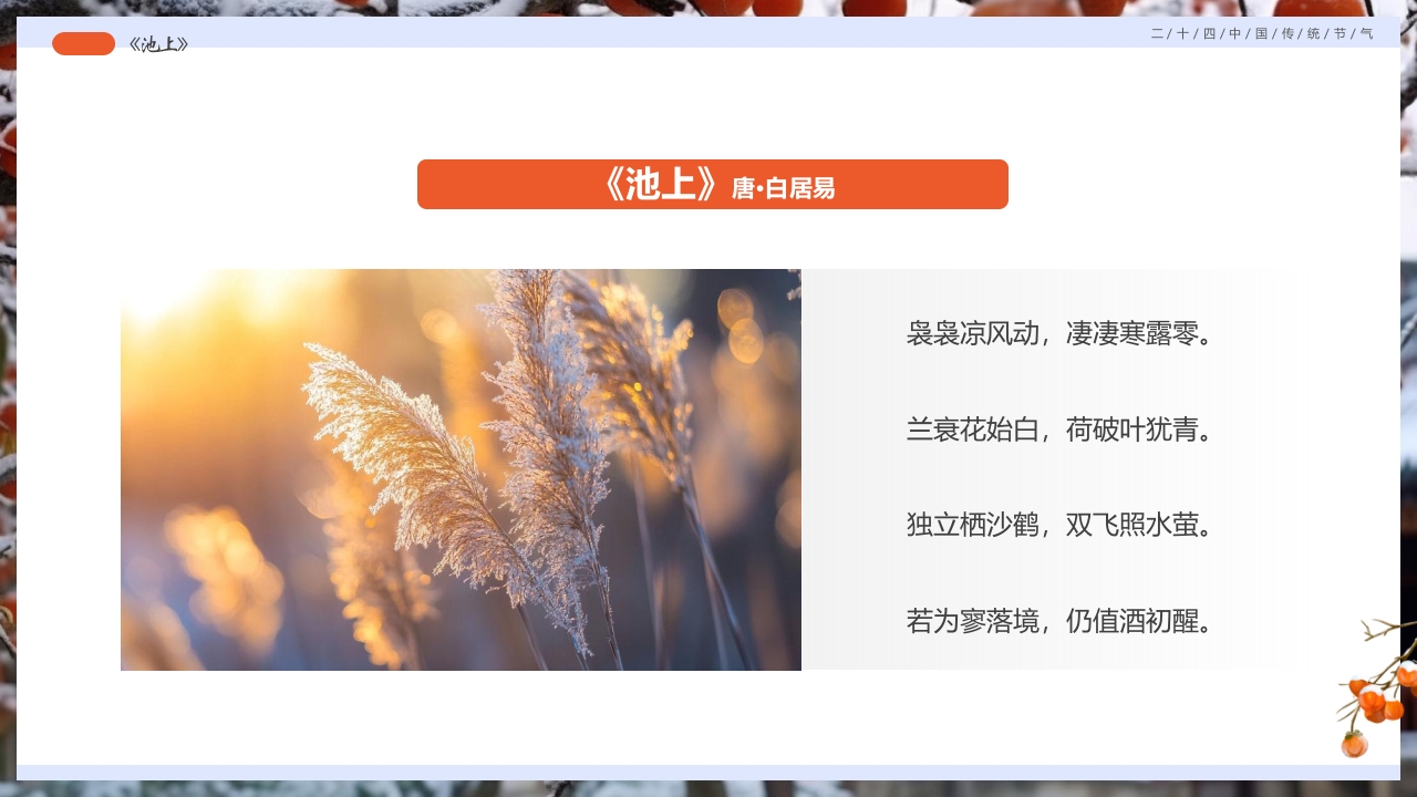 柿子背景的寒露诗词鉴赏PPT课件5
