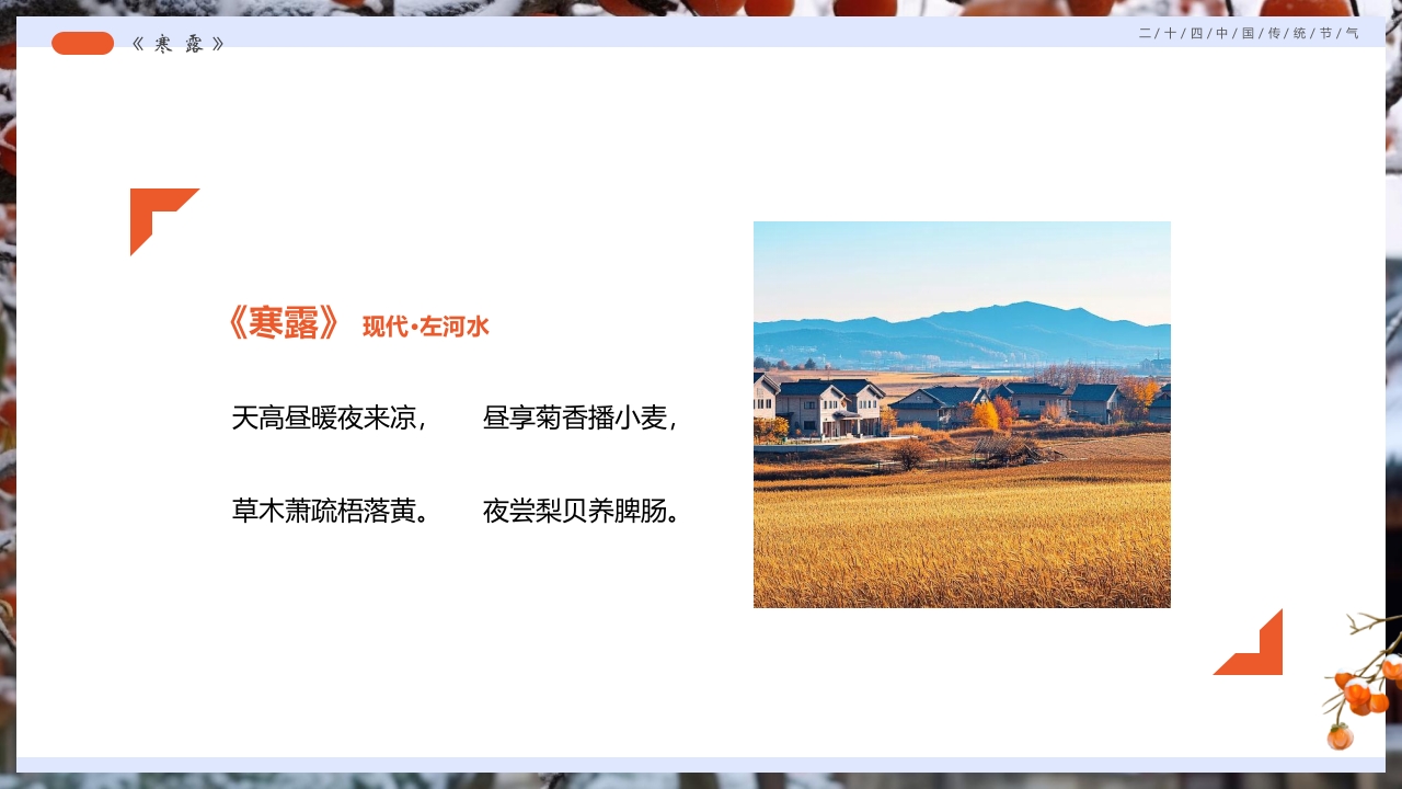 柿子背景的寒露诗词鉴赏PPT课件8