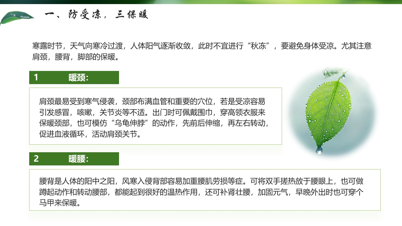 “寒色浓秋露重”寒露节气介绍PPT课件5