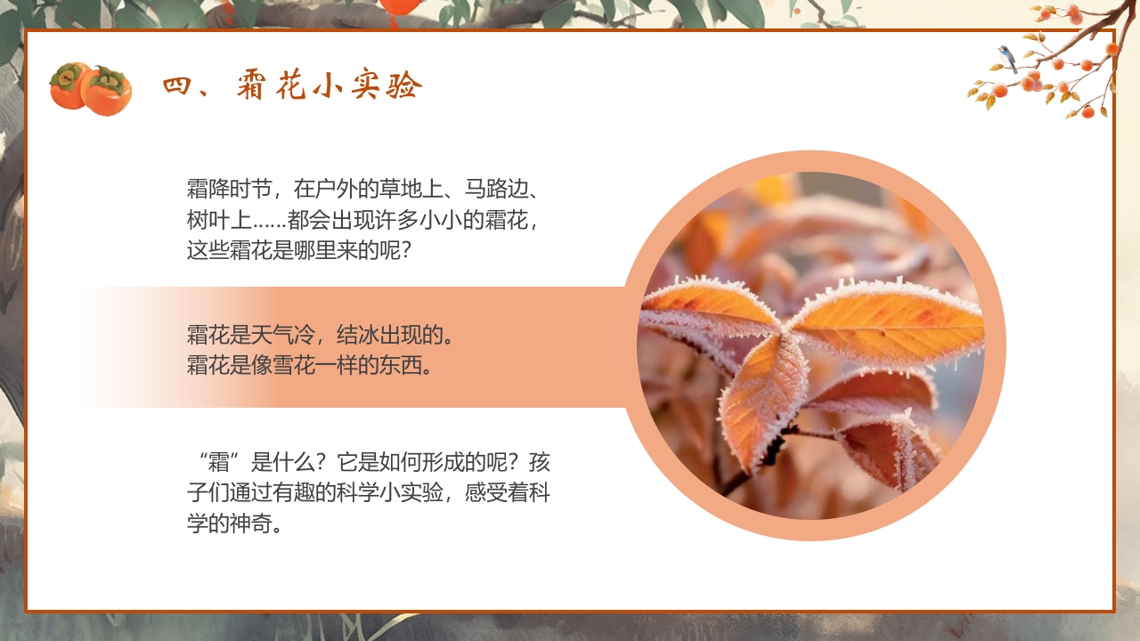 “时逢霜降至童趣满深秋”霜降节气介绍PPT课件17