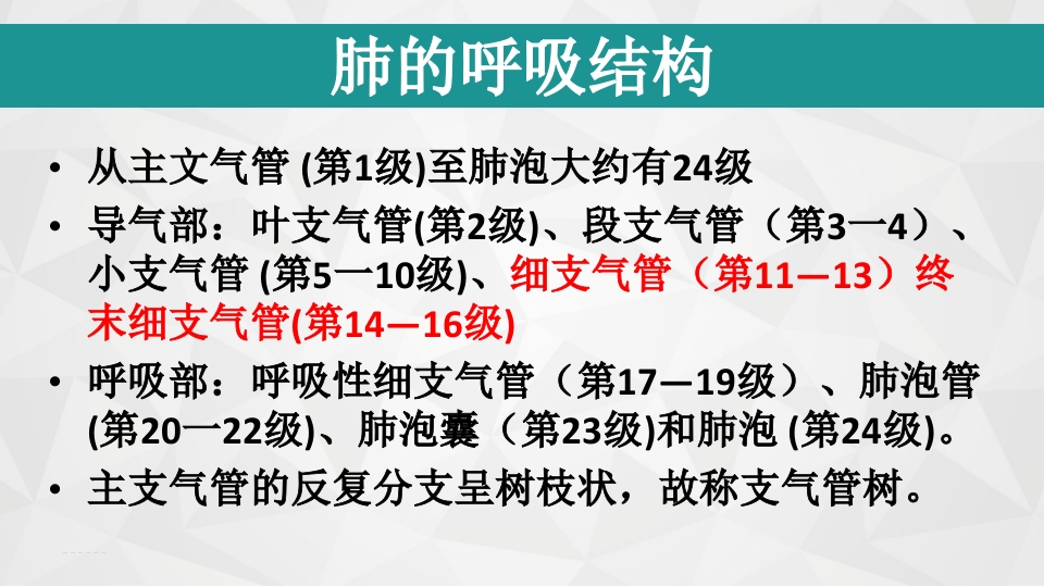 儿童闭塞性细支气管炎ppt课件2