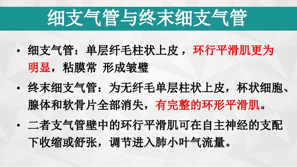 儿童闭塞性细支气管炎ppt课件5