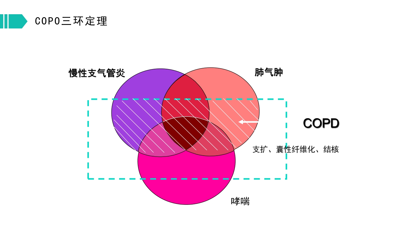 慢性支气管炎和阻塞型肺气肿PPT模板17