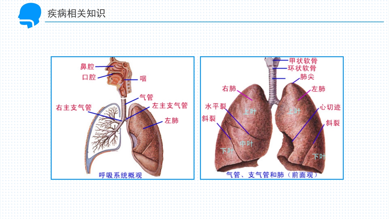 呼吸衰竭的护理查房PPT课件9