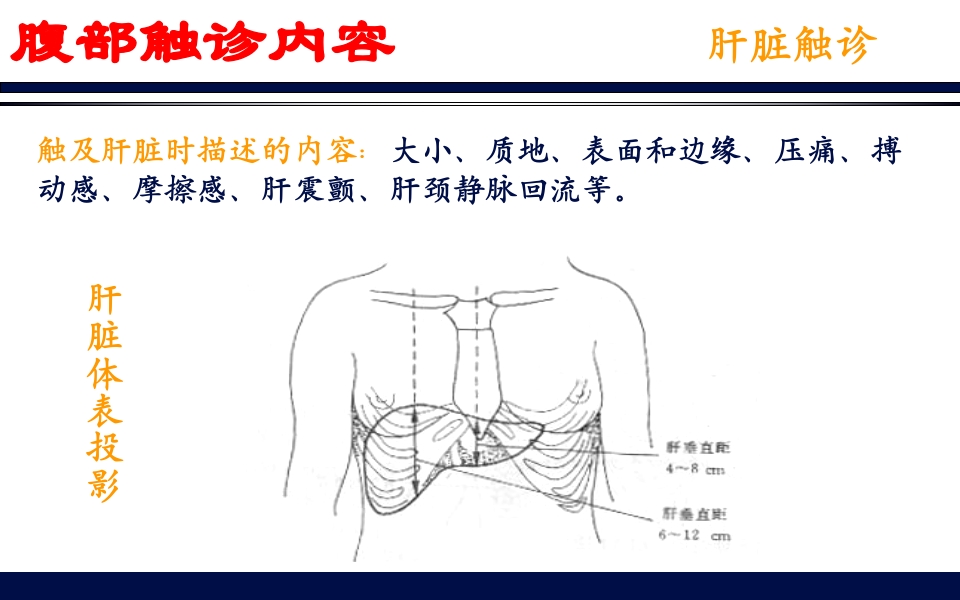 《腹部触诊》诊断学PPT课件38