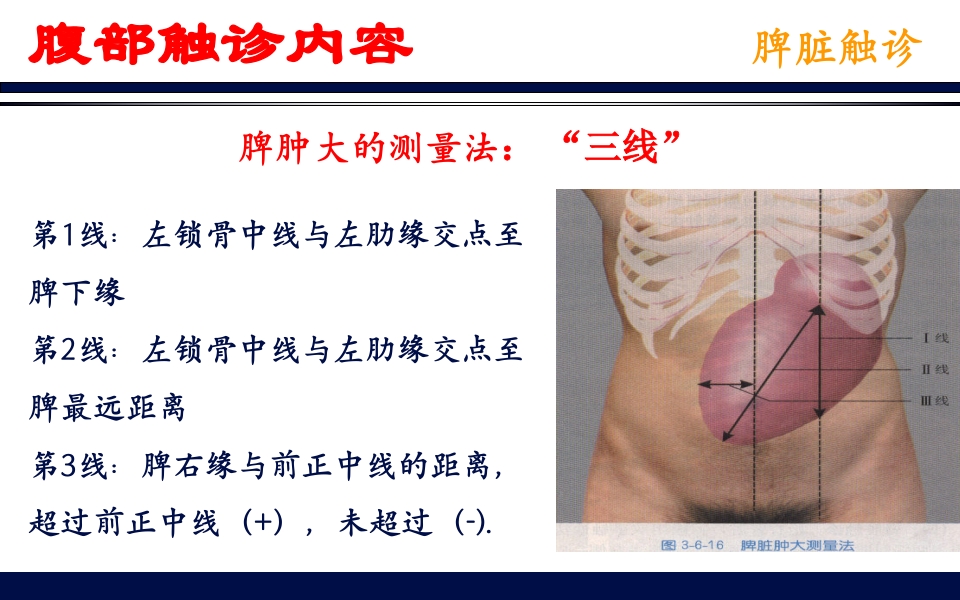《腹部触诊》诊断学PPT课件52