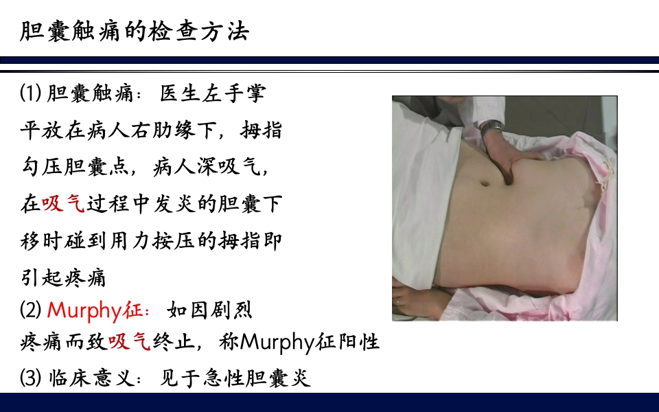 《腹部触诊》诊断学PPT课件60