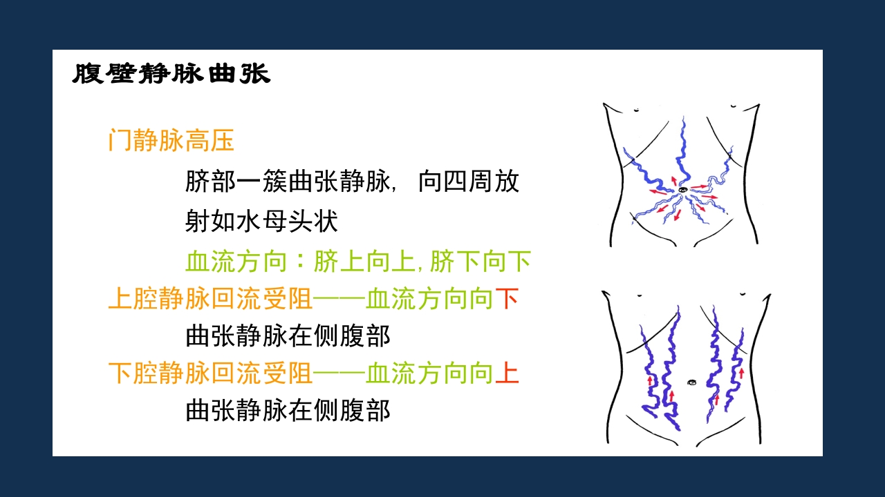 腹部体格检查及腹腔穿刺术PPT课件22