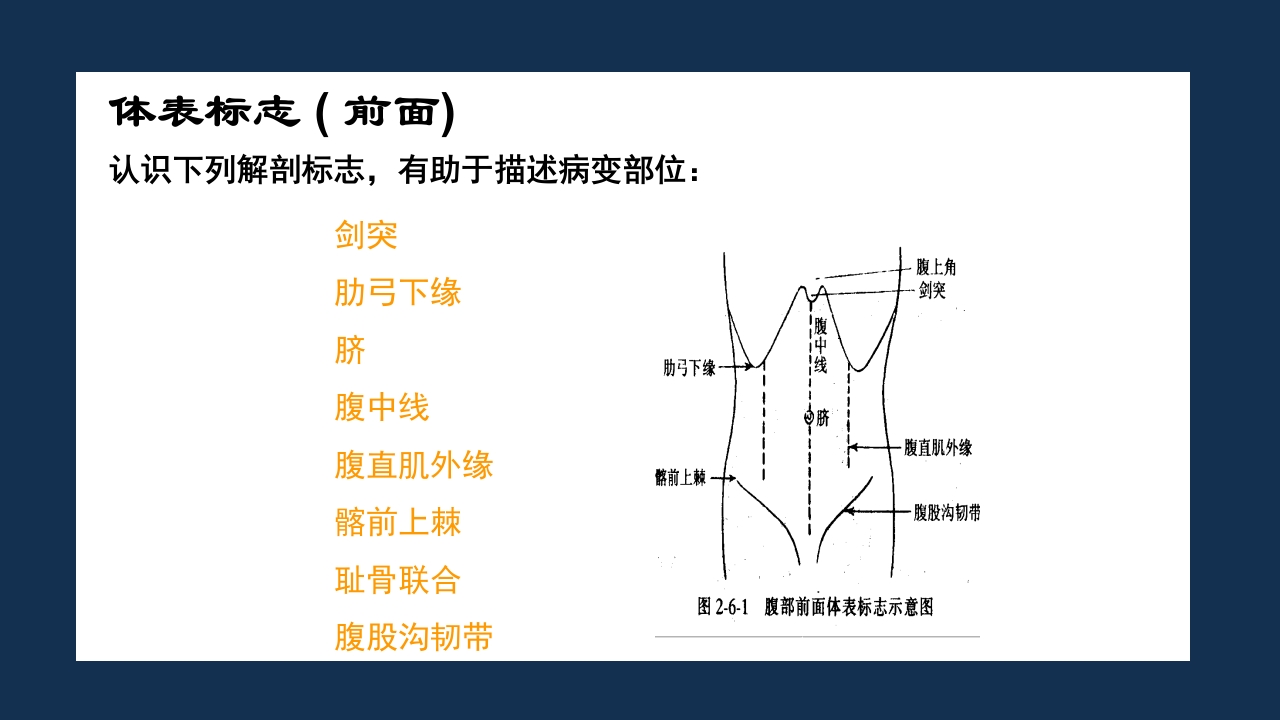 腹部体格检查及腹腔穿刺术PPT课件2