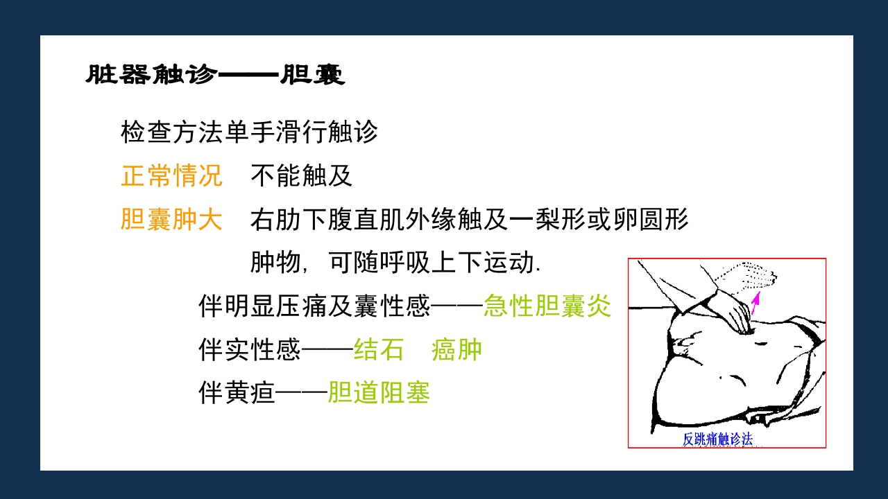 腹部体格检查及腹腔穿刺术PPT课件39