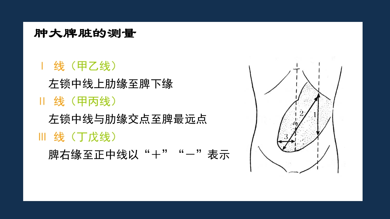 腹部体格检查及腹腔穿刺术PPT课件42