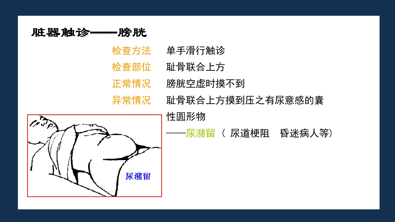 腹部体格检查及腹腔穿刺术PPT课件46