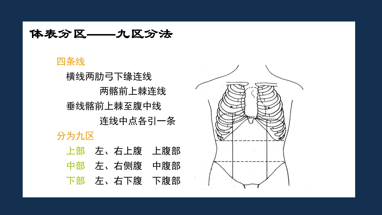 腹部体格检查及腹腔穿刺术PPT课件8
