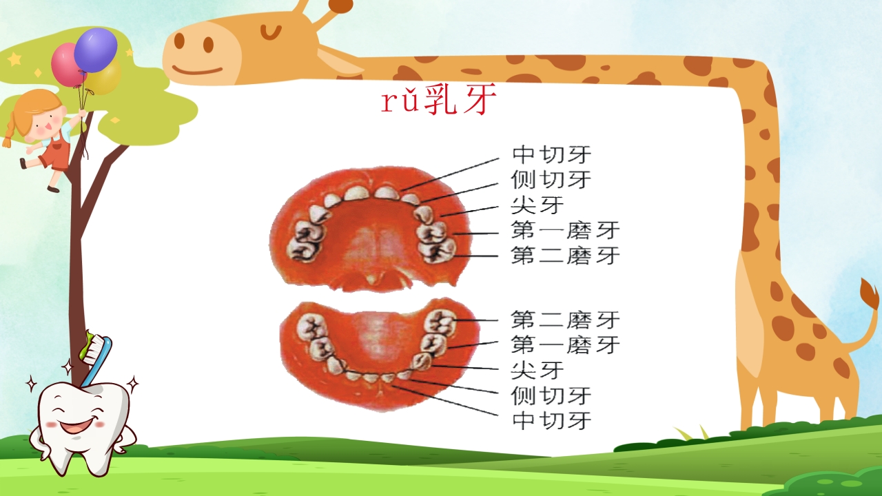小学生口腔卫生保健知识PPT课件11