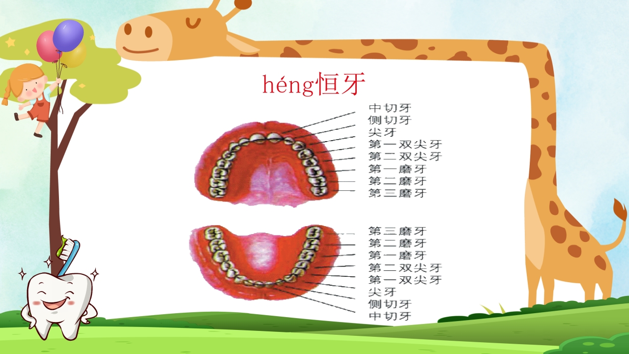 小学生口腔卫生保健知识PPT课件13