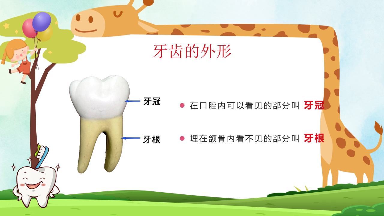 小学生口腔卫生保健知识PPT课件14