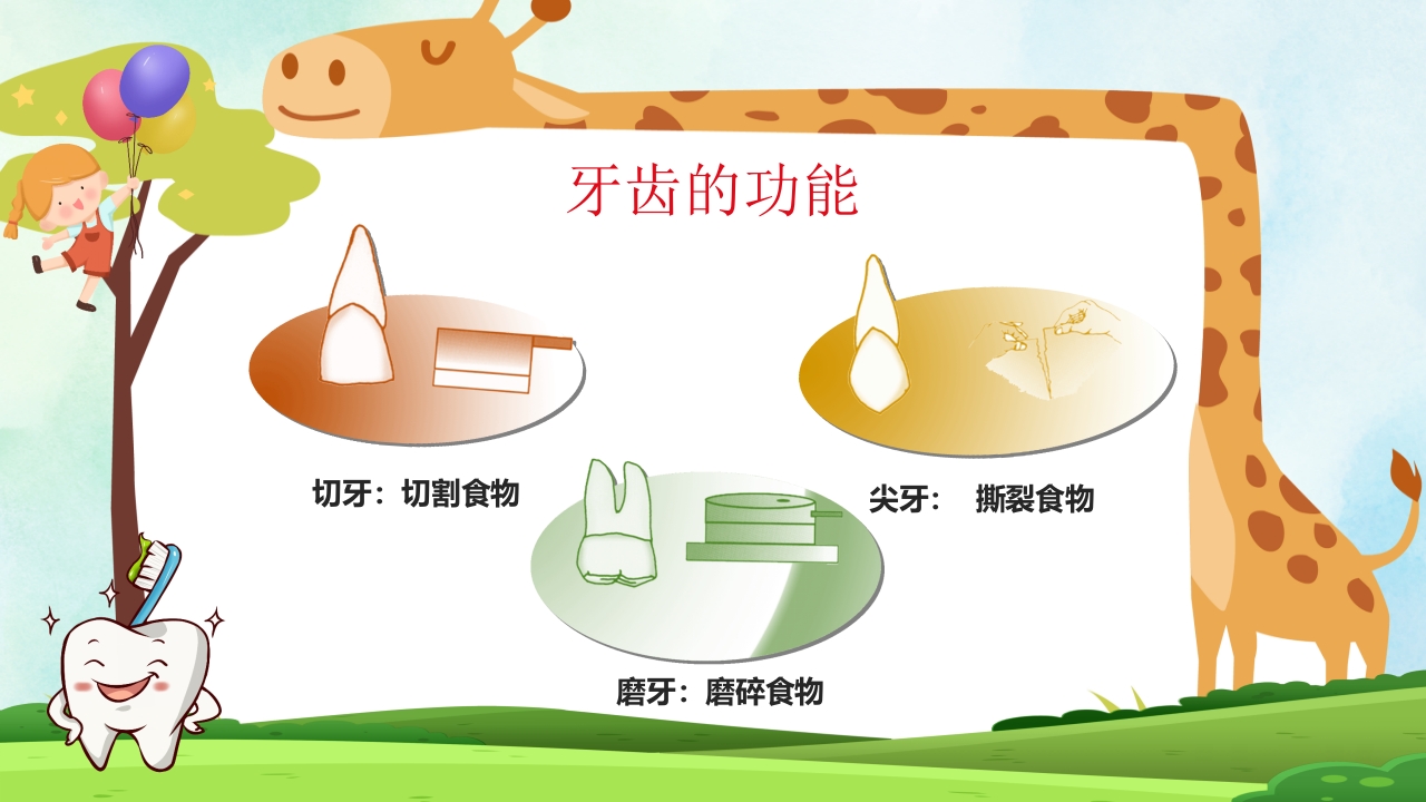 小学生口腔卫生保健知识PPT课件15