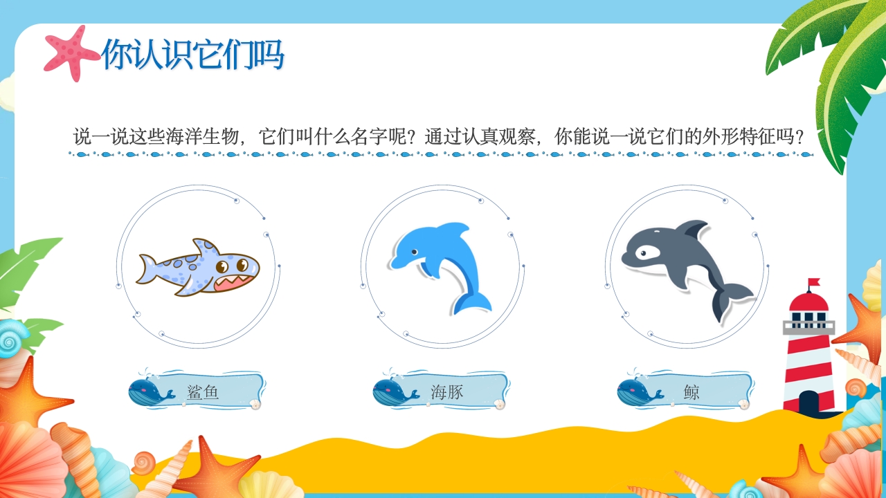 《美丽海洋画给你看》幼儿园美术课教学PPT课件10