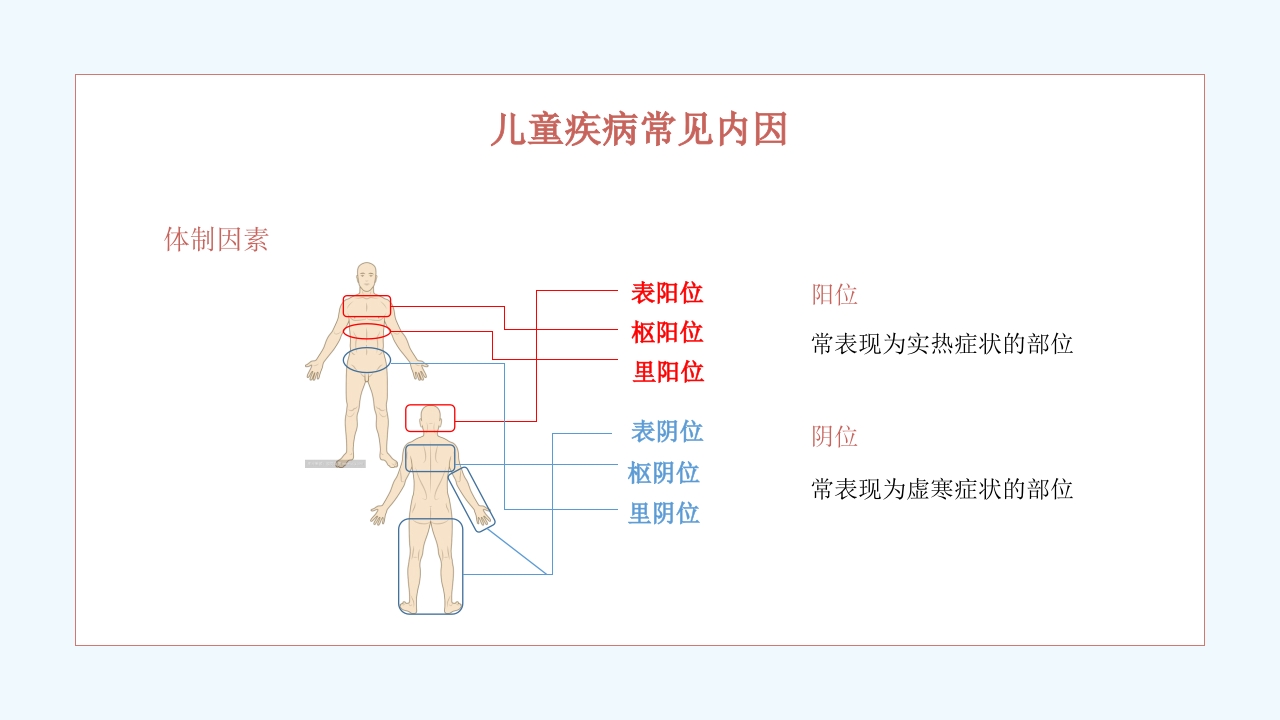 中医药文化进校园PPT课件13