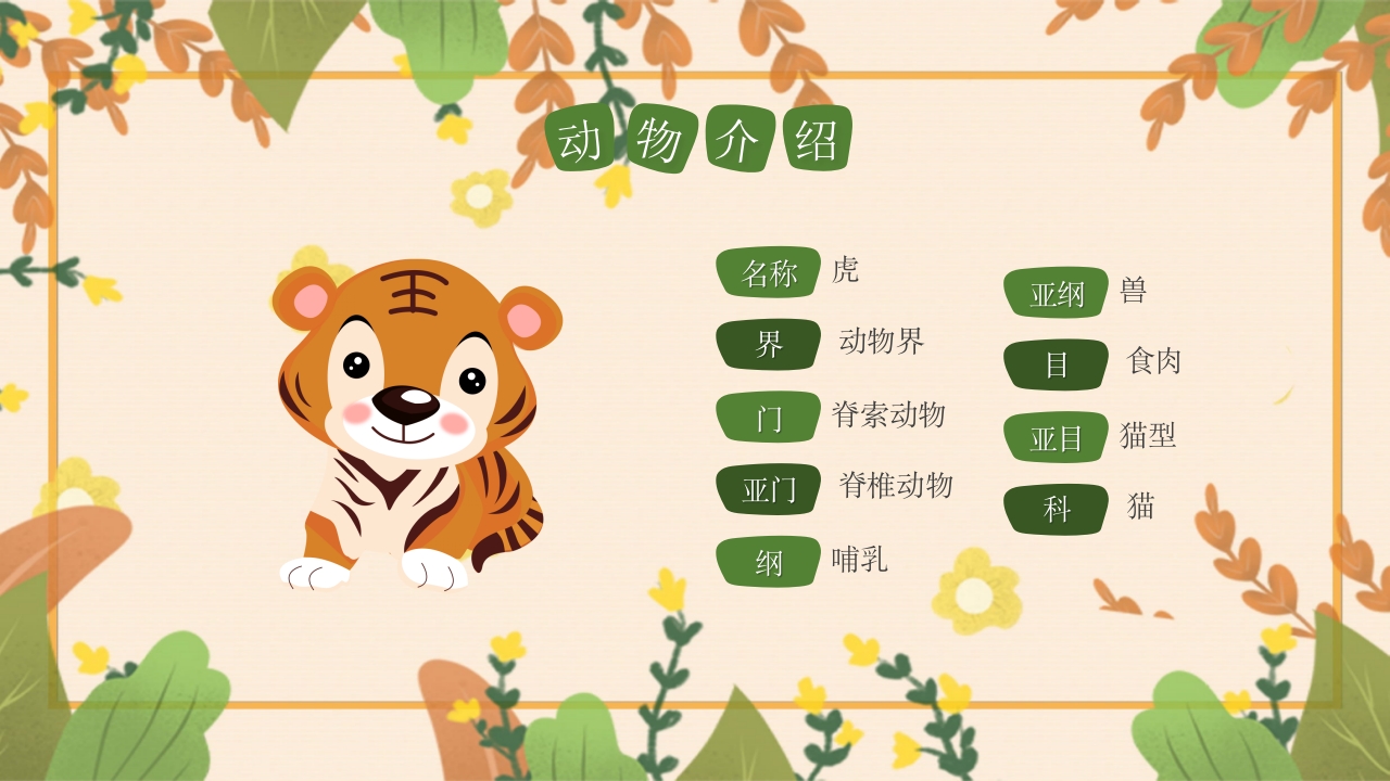 动物介绍动物分类PPT课件10