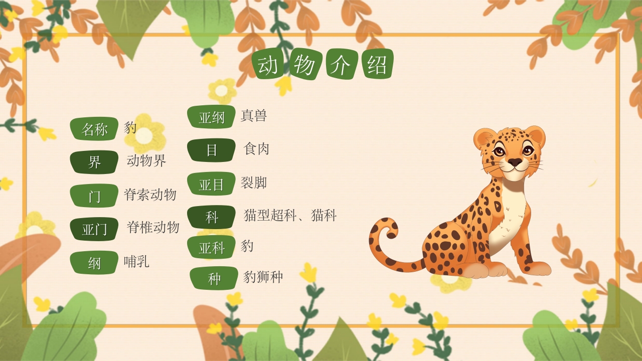 动物介绍动物分类PPT课件11