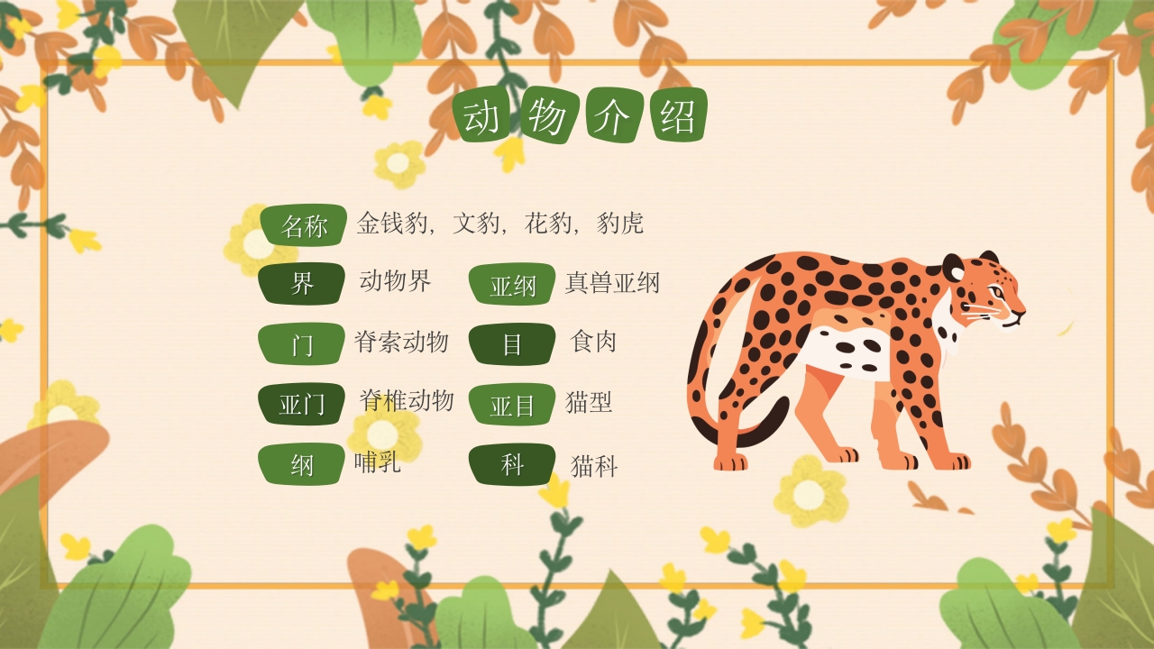 动物介绍动物分类PPT课件12