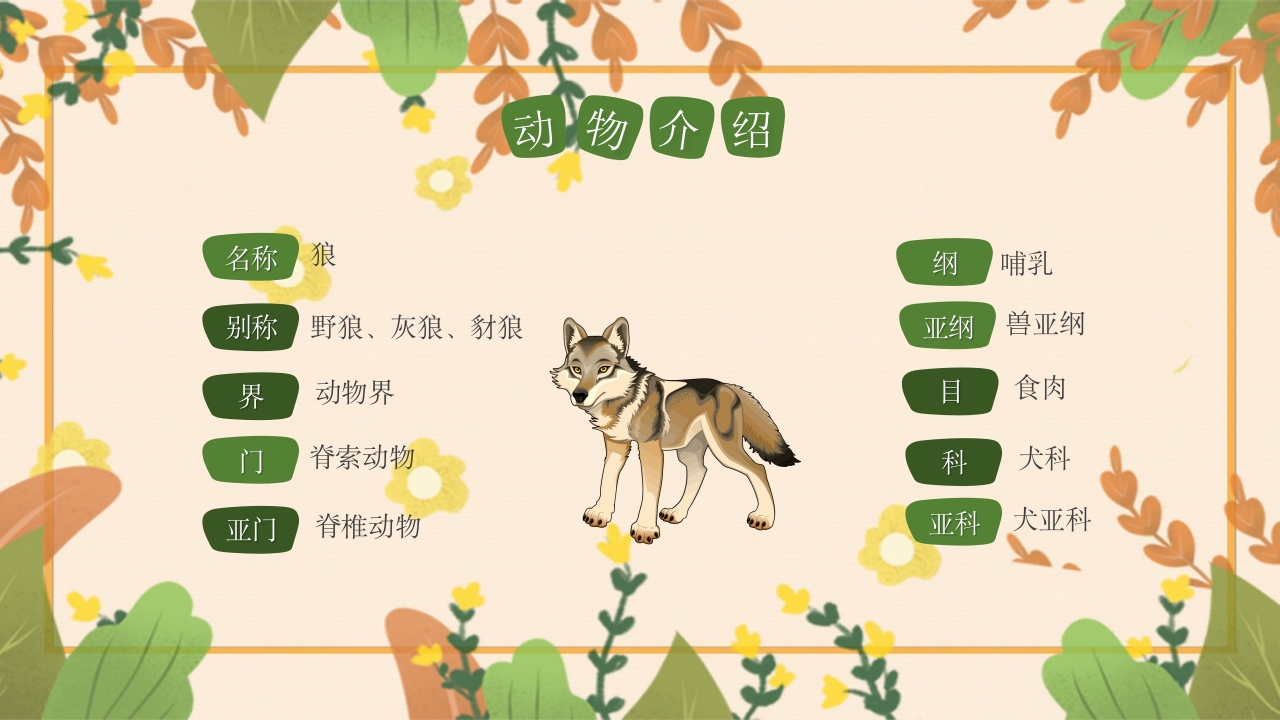 动物介绍动物分类PPT课件13