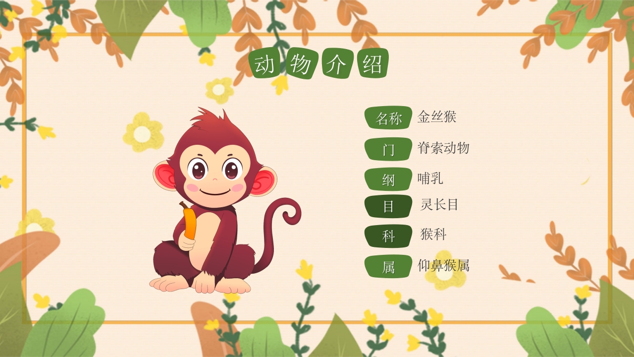 动物介绍动物分类PPT课件14