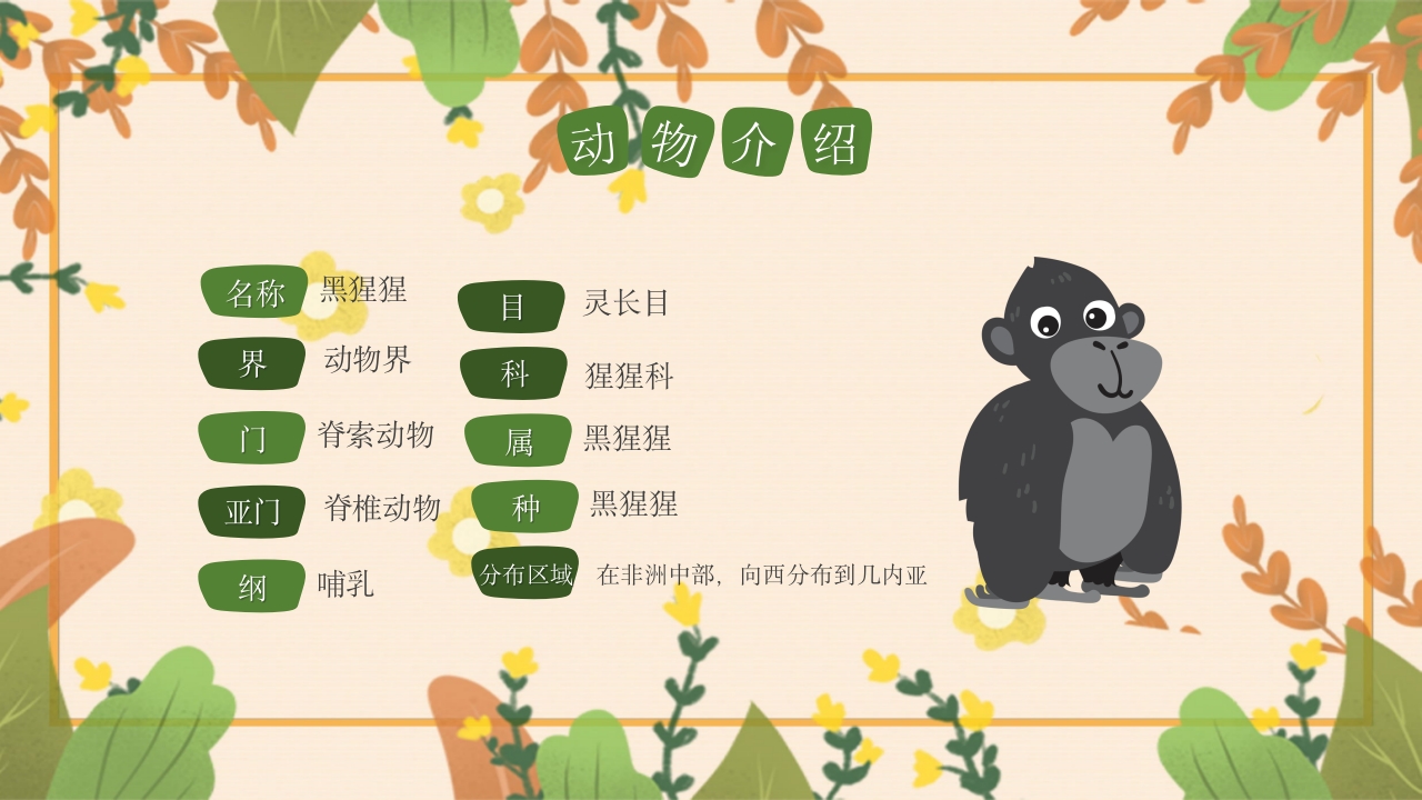 动物介绍动物分类PPT课件15