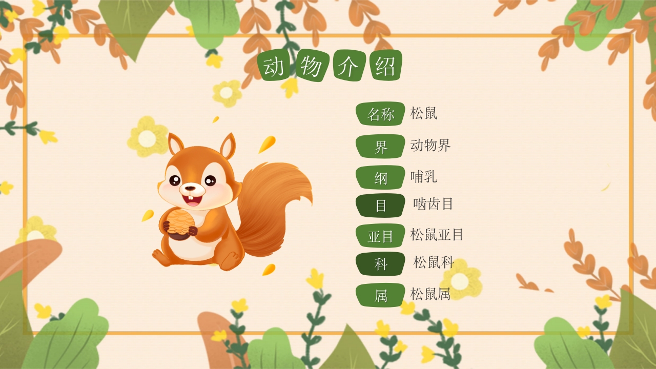 动物介绍动物分类PPT课件16